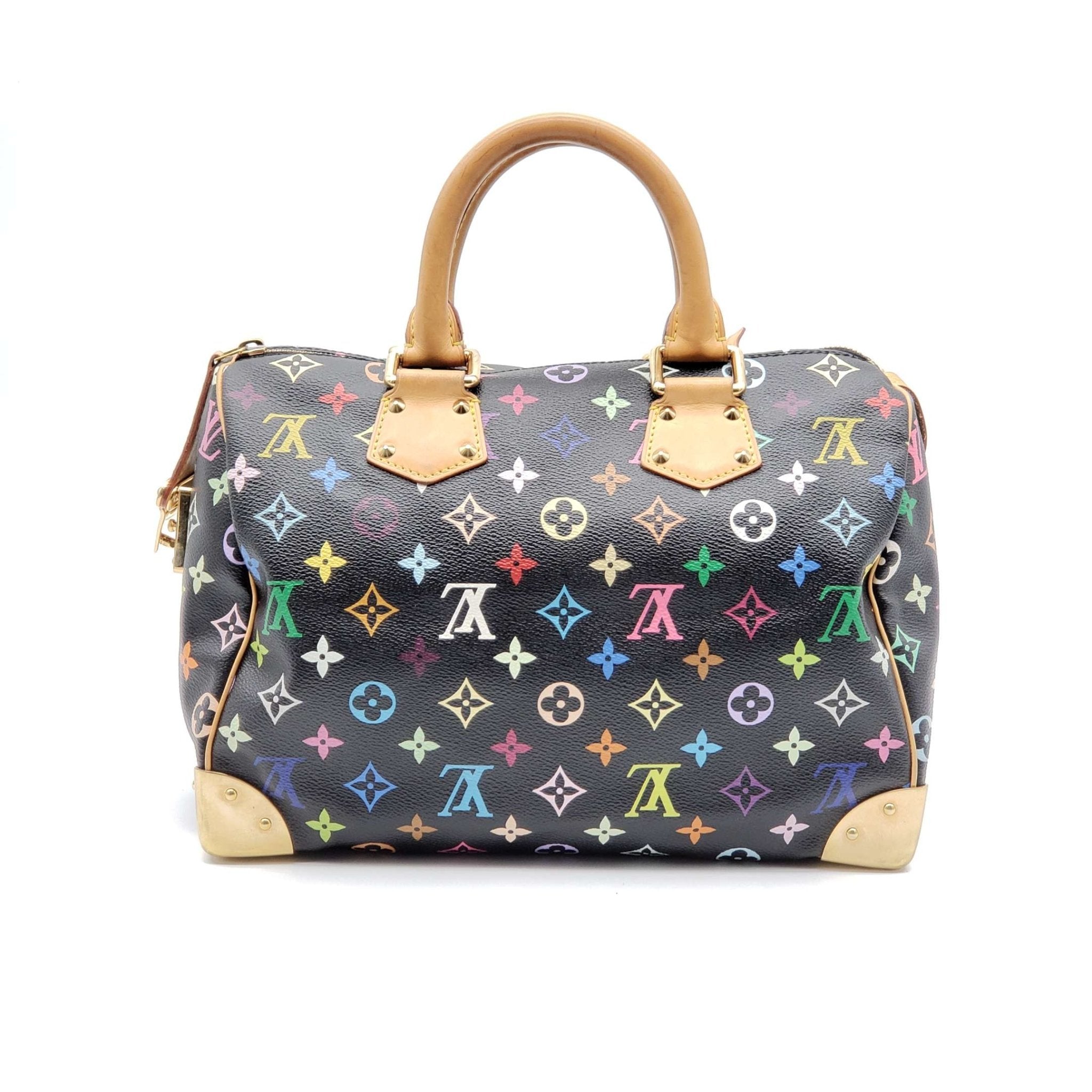 Louis Vuitton Speedy 30 Multicolor Hand Bag