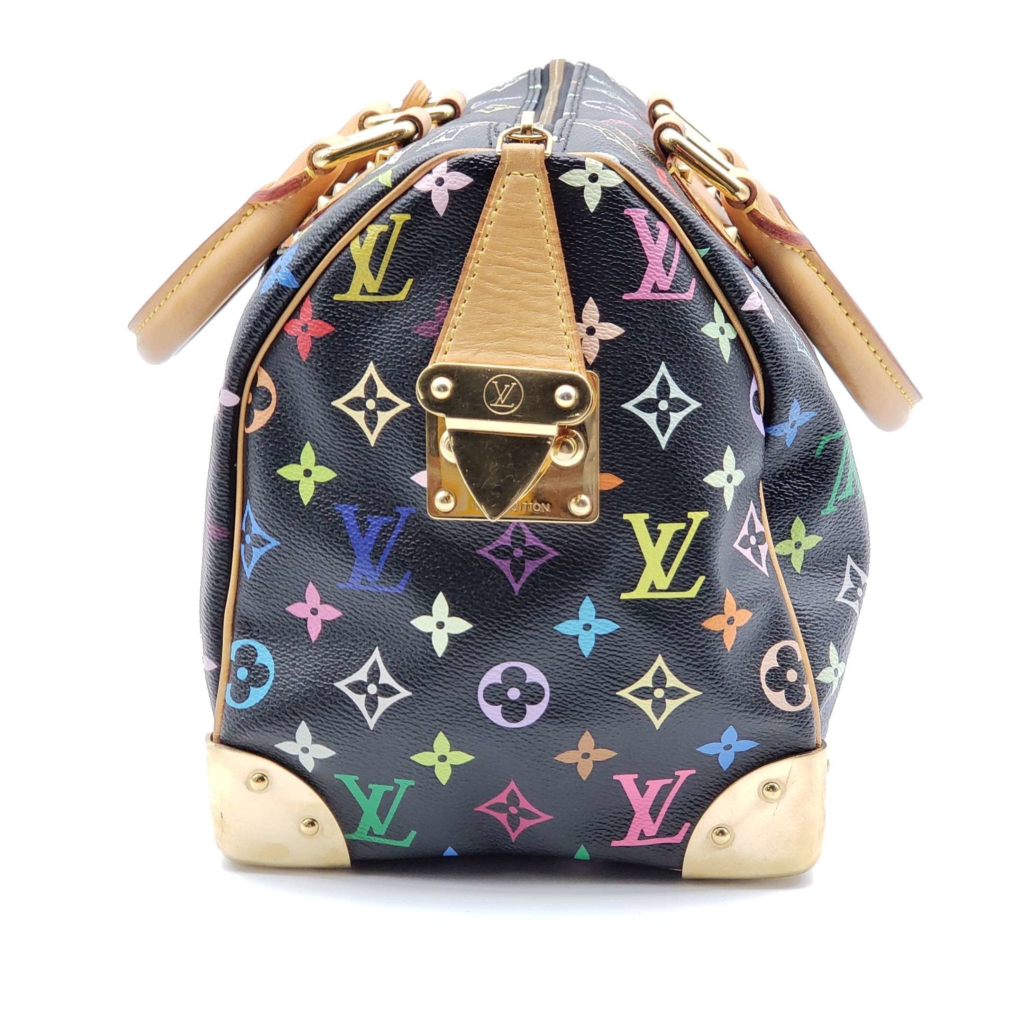 Louis Vuitton Speedy 30 Multicolor Hand Bag