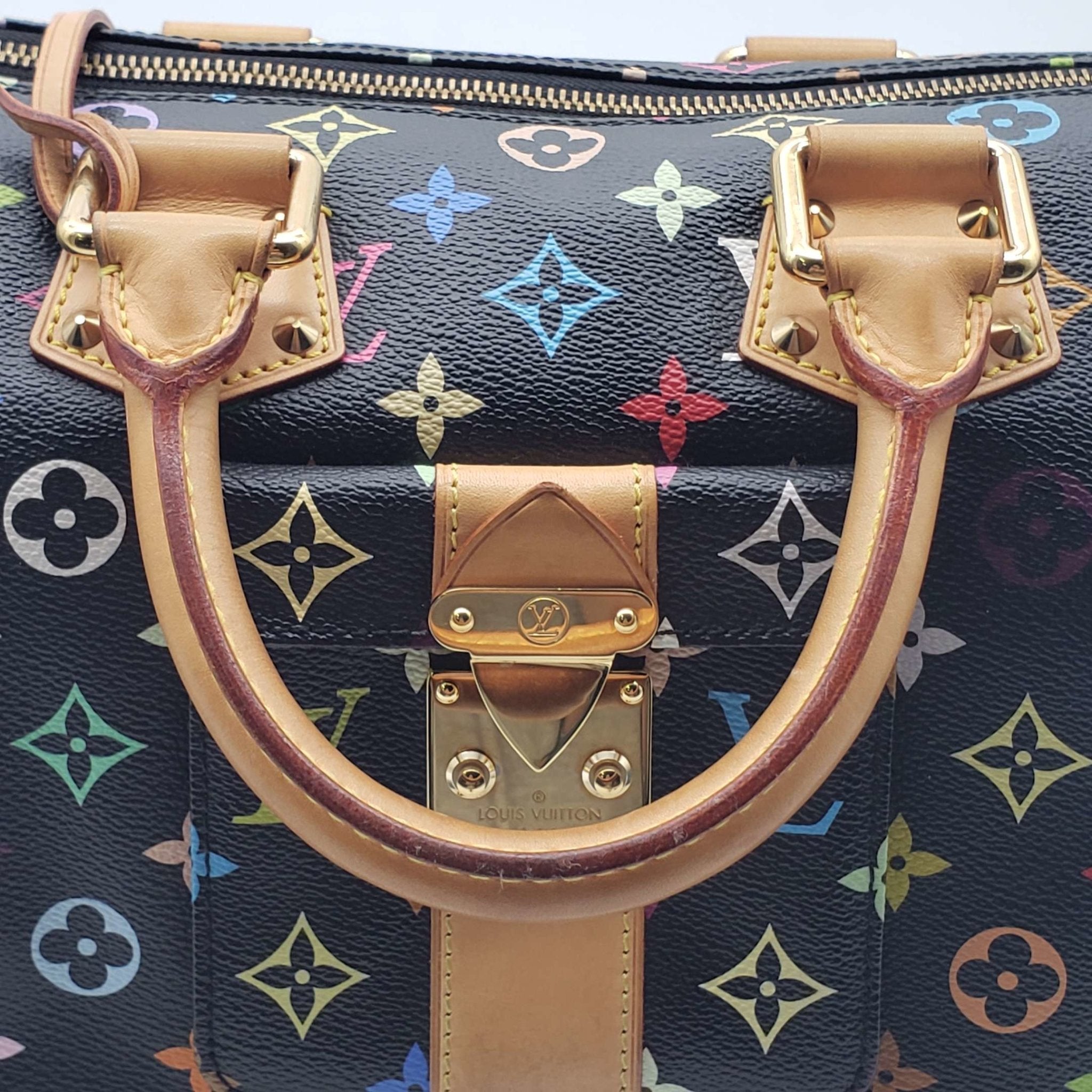 Louis Vuitton Speedy 30 Multicolor Hand Bag