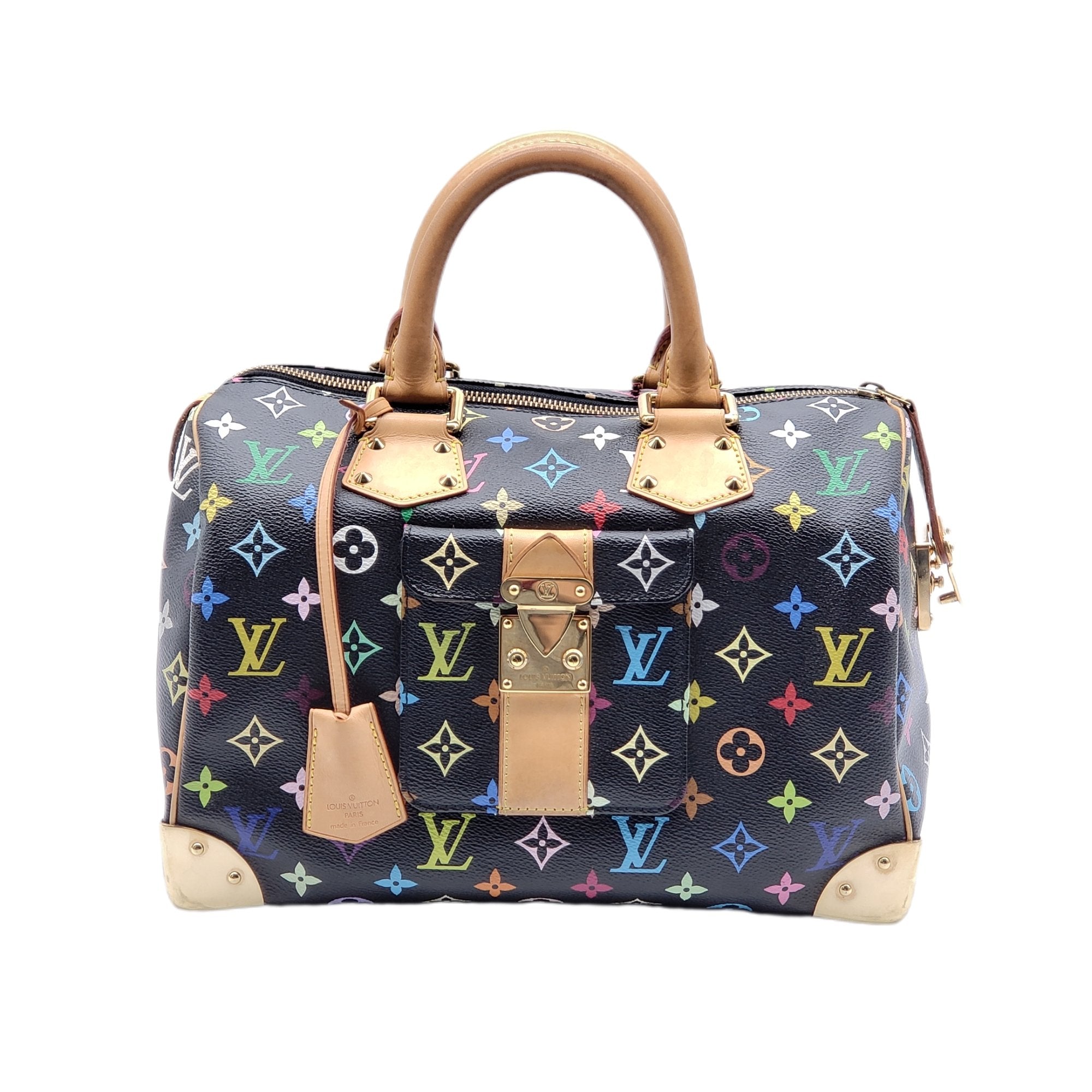 Louis Vuitton Speedy 30 Multicolor Hand Bag