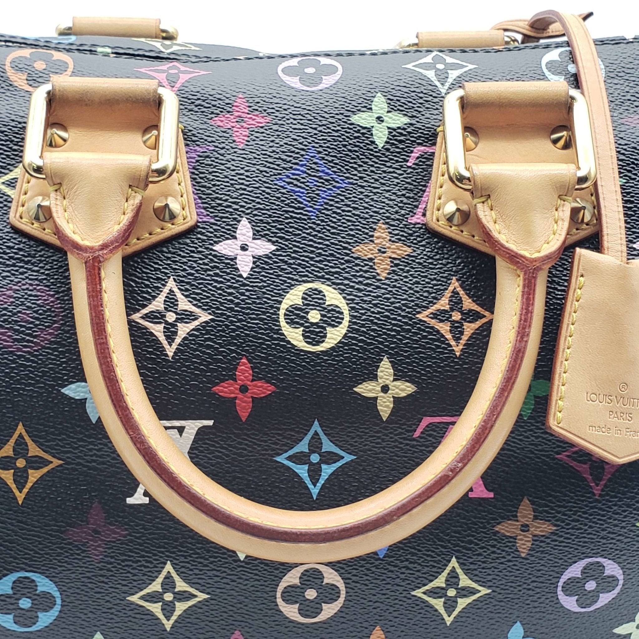 Louis Vuitton Speedy 30 Multicolor Hand Bag