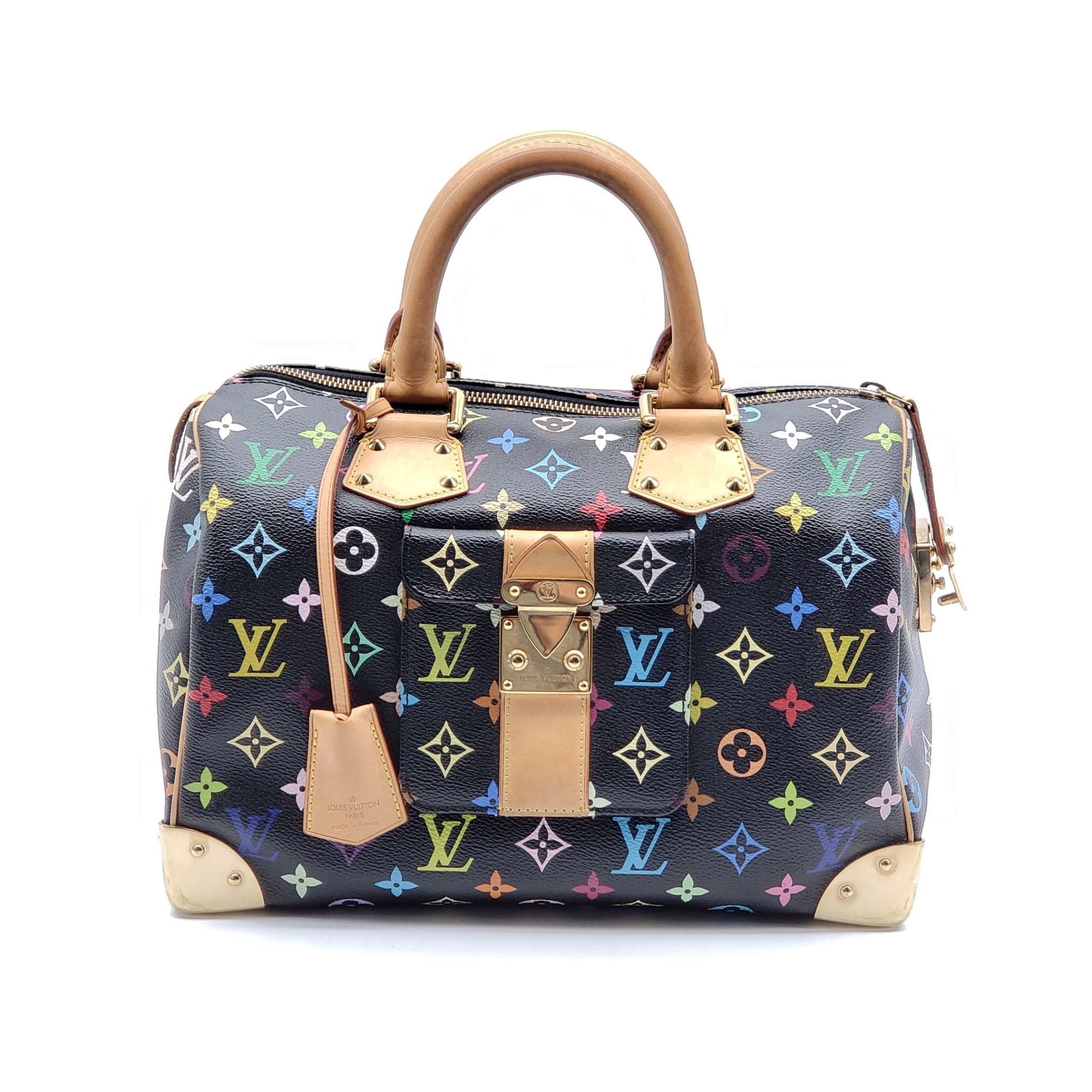 Louis Vuitton Speedy 30 Multicolor Hand Bag